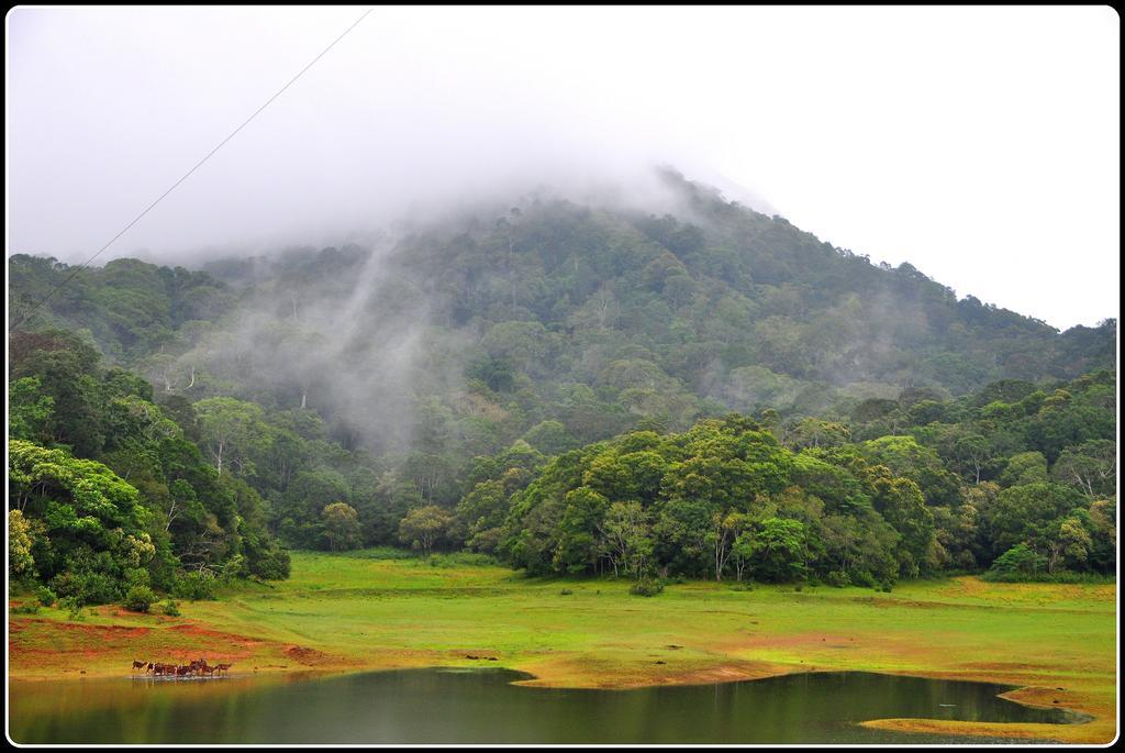 Dean Dale Cottages Thekkady Zewnętrze zdjęcie